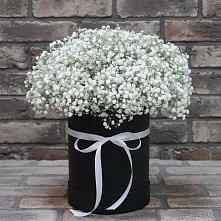 Цветочная композиция из Гипсофила в шляпной коробке #REPLACE_PRED# Визинге