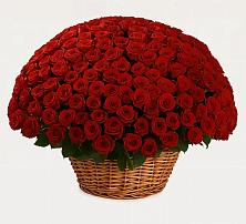 Премиум букет из: Розы в Визинге