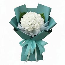 Букет цветов из:  Гортензия в Визинге
